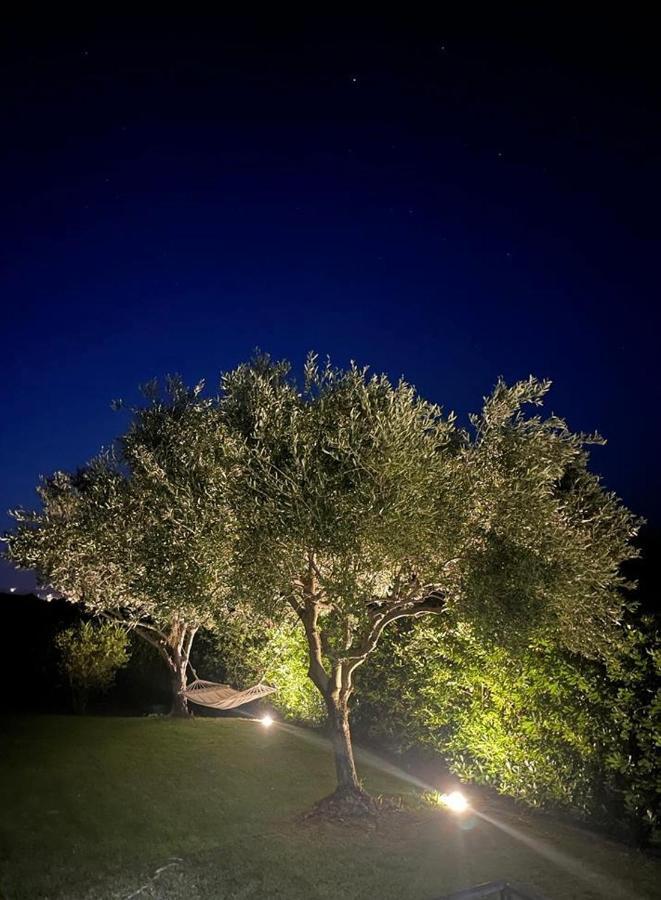 Villa Aurelia San Teodoro  Exterior foto